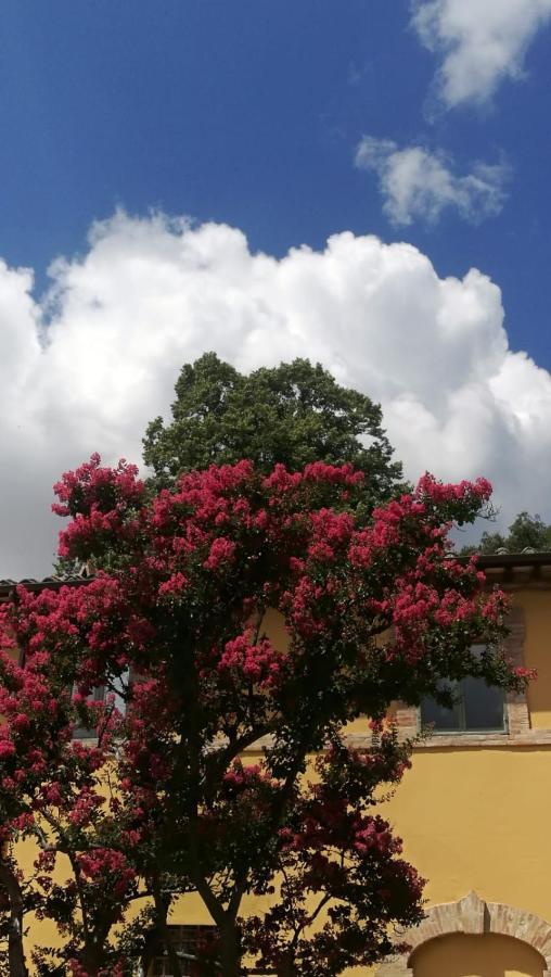 San Martinello Villa Perugia Kültér fotó