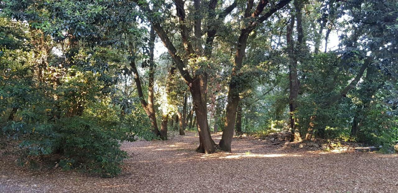 San Martinello Villa Perugia Kültér fotó